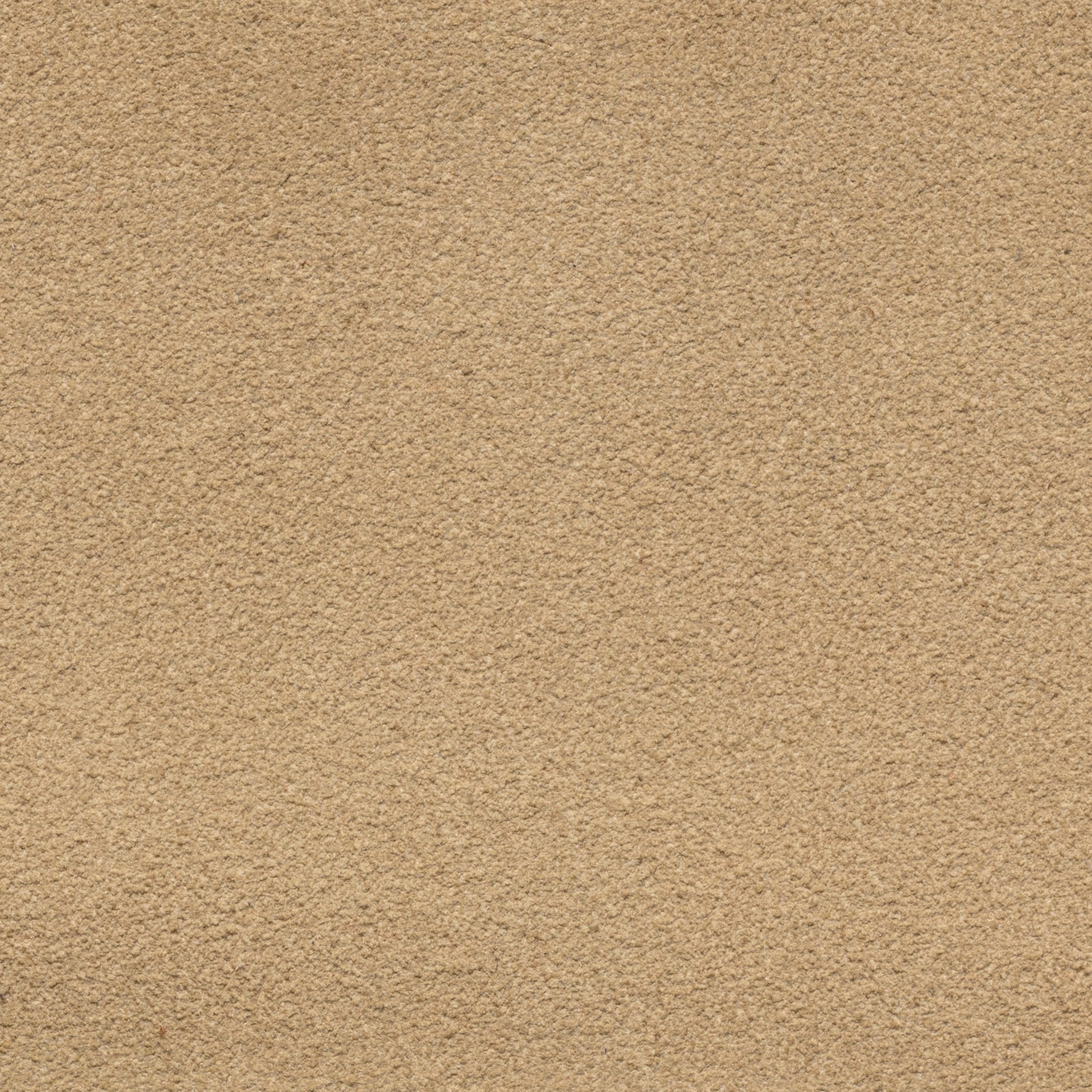 Sand Suede Formal Round Penny Loafer