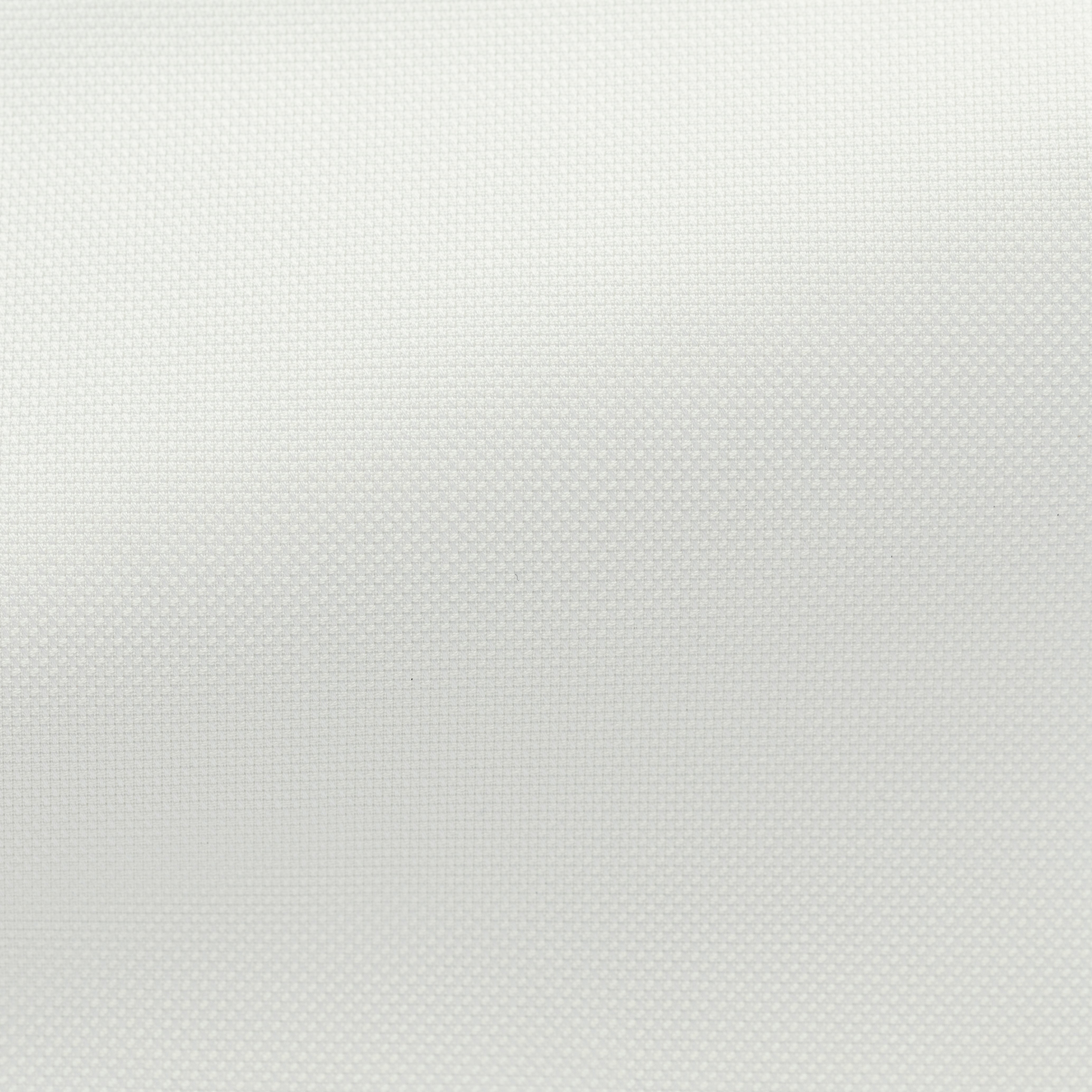 Off-White Cotton Royal Oxford Shirt