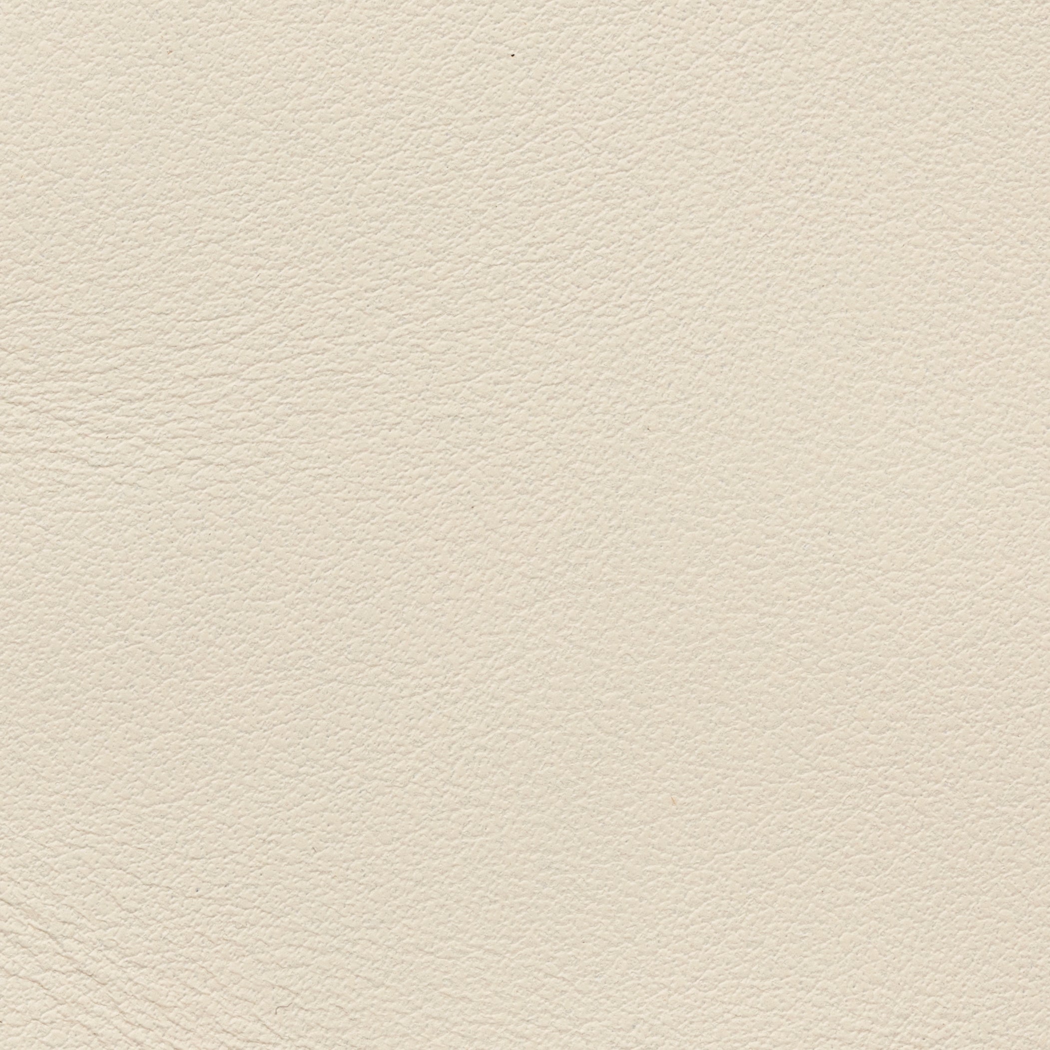 Off-White Calf Gum Sole w/ Blue Back piece Low Sneaker