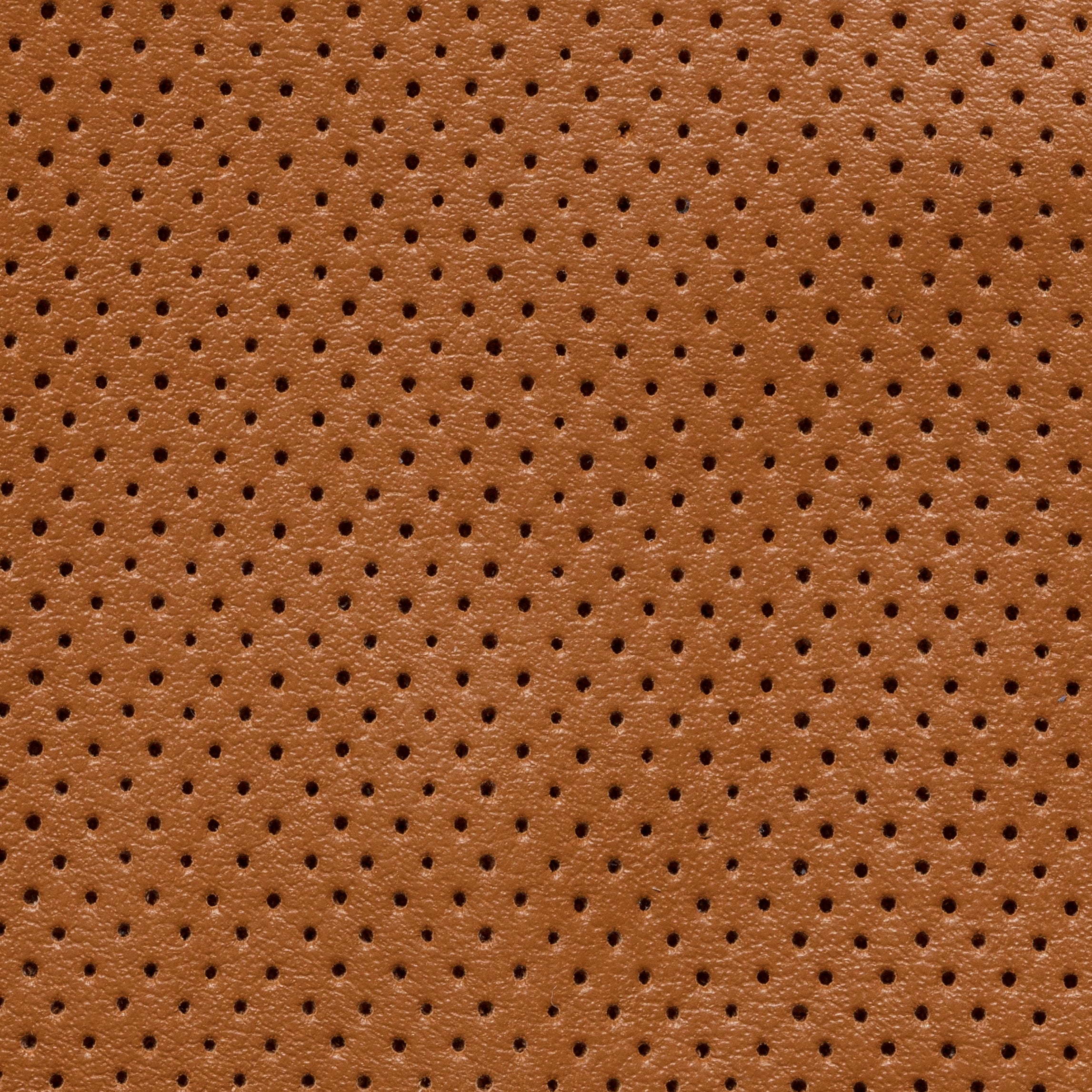 Denim Perforated Calf Low Sneaker