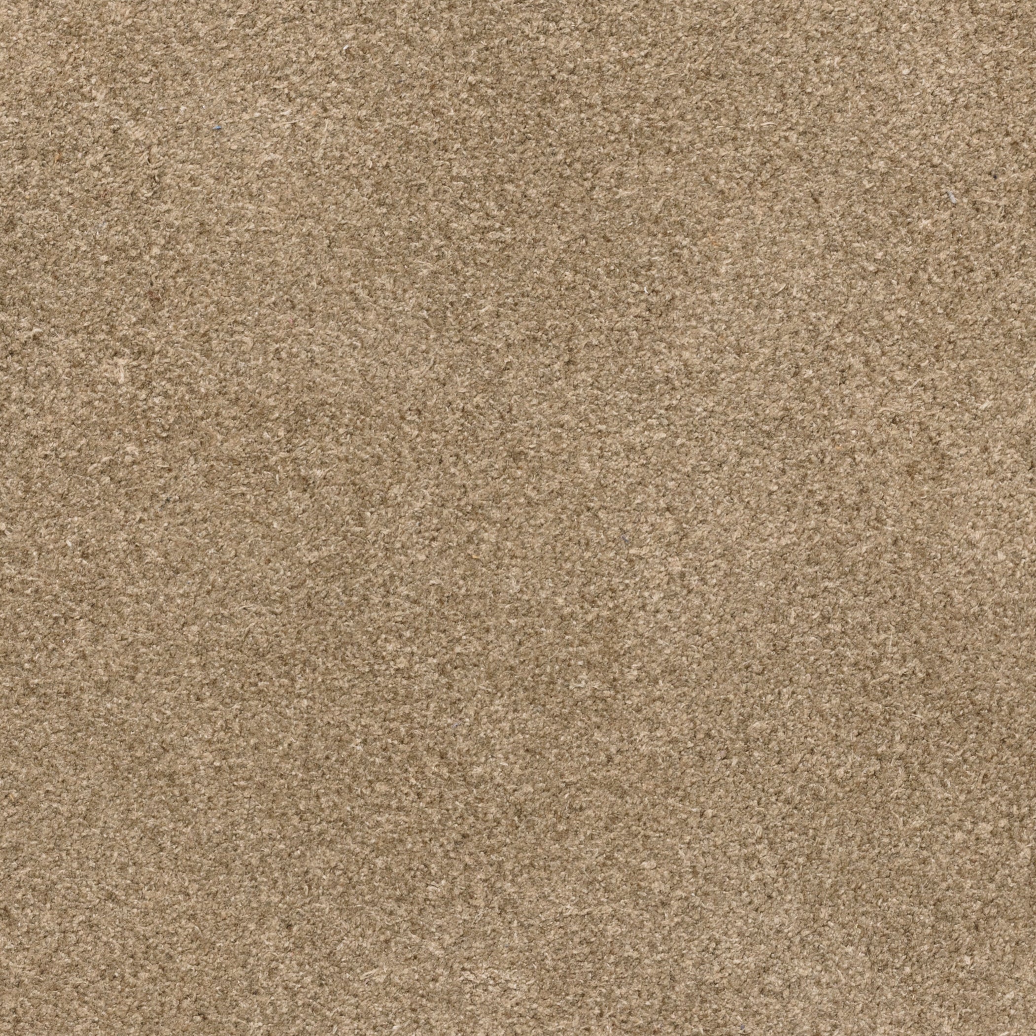 Taupe Summer Suede Penny Loafer