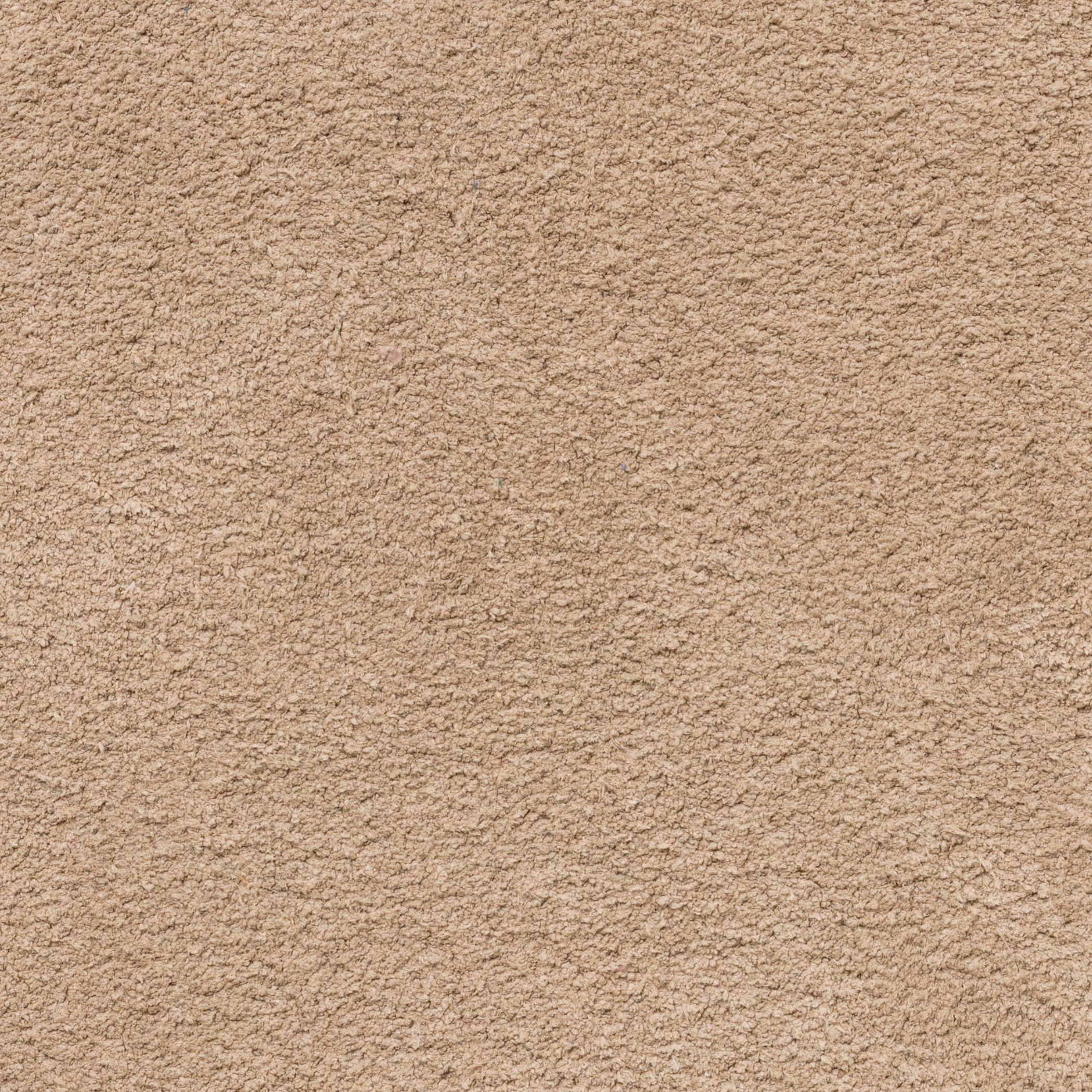 Sand Summer Suede Penny Loafer