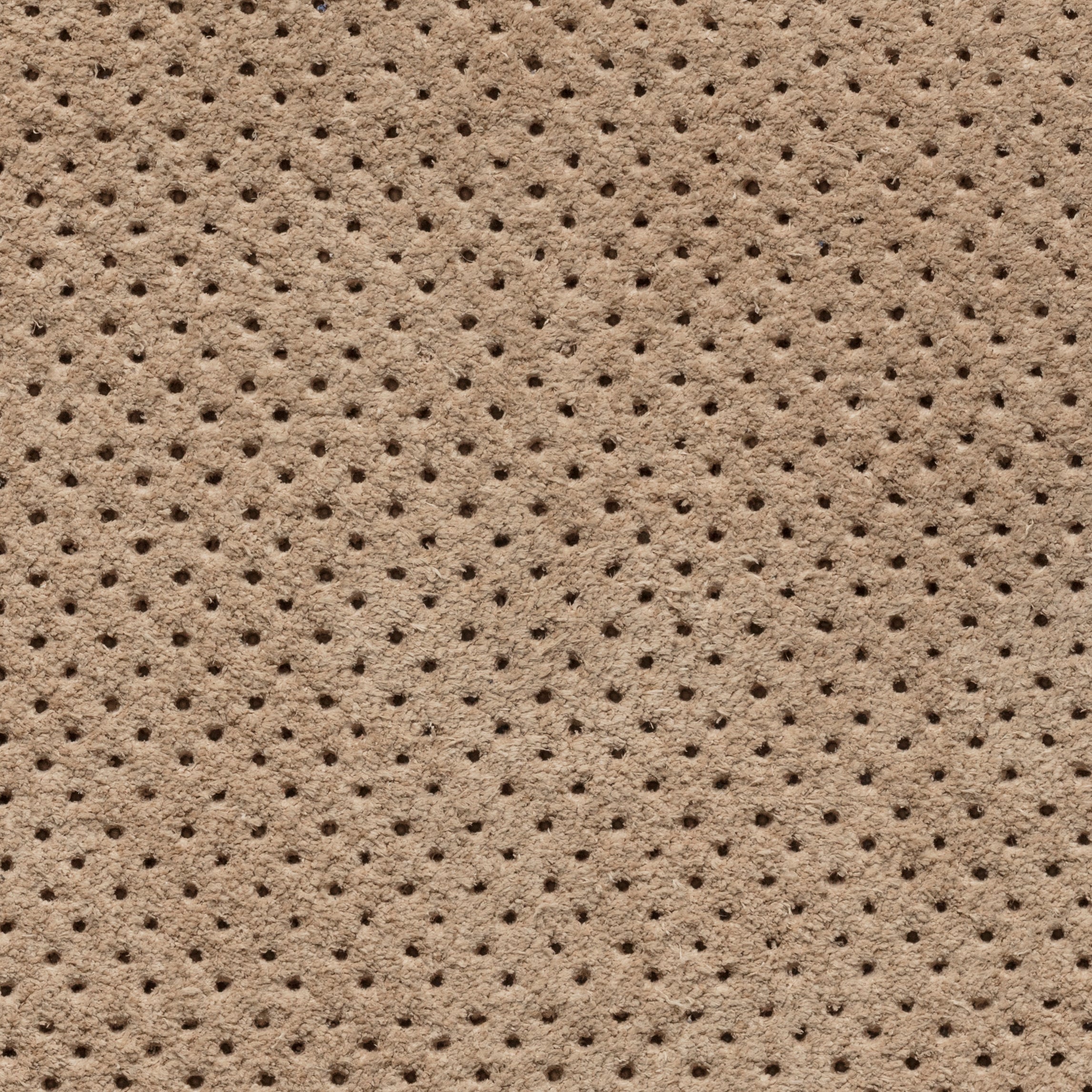 Perforated Sand Summer Suede Low Sneaker