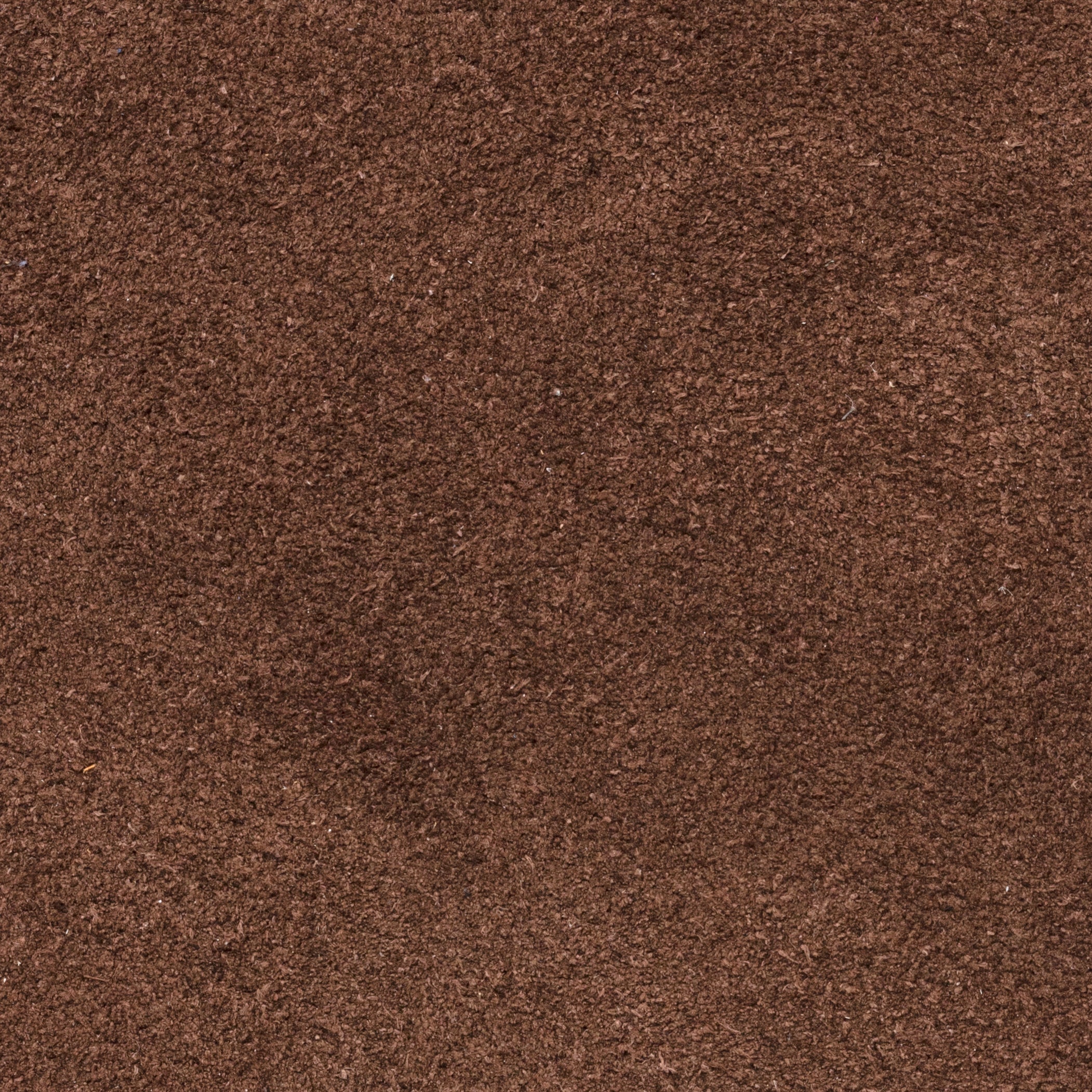 Chocolate Brown Summer Suede Low Sneaker